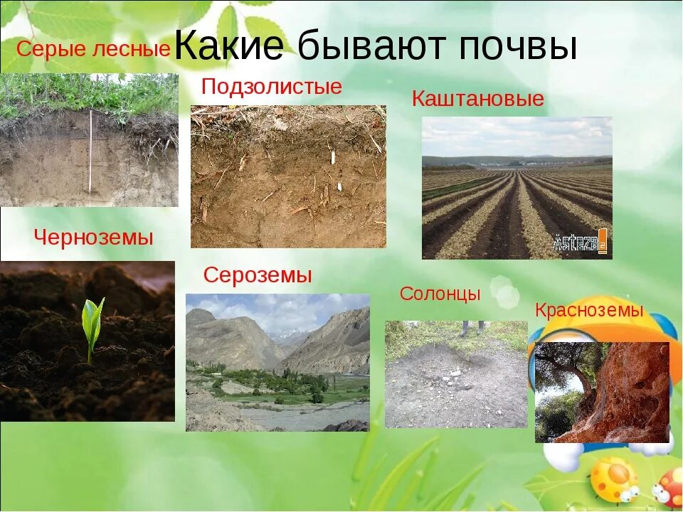 Почвы россии 4 класс 21 век презентация. Почва для дошкольников. Какие бывают почвы. Виды почв для детей.