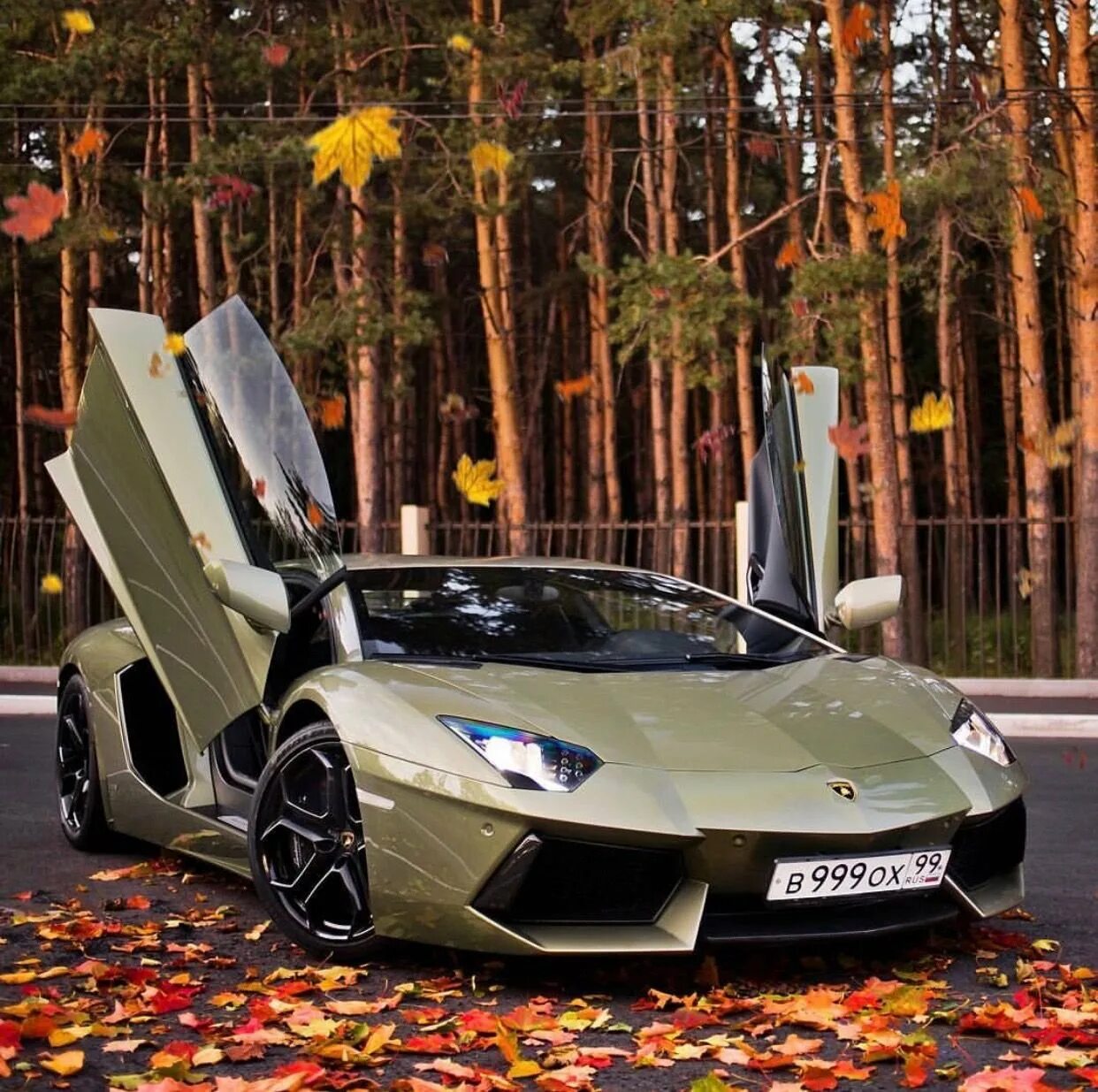 Для данного автомобиля любая. Ламборджини авентадор. Lamborghini Aventador lp700-4. Ламборгини авентадор 2022. Ламборгини авентадор 2019.