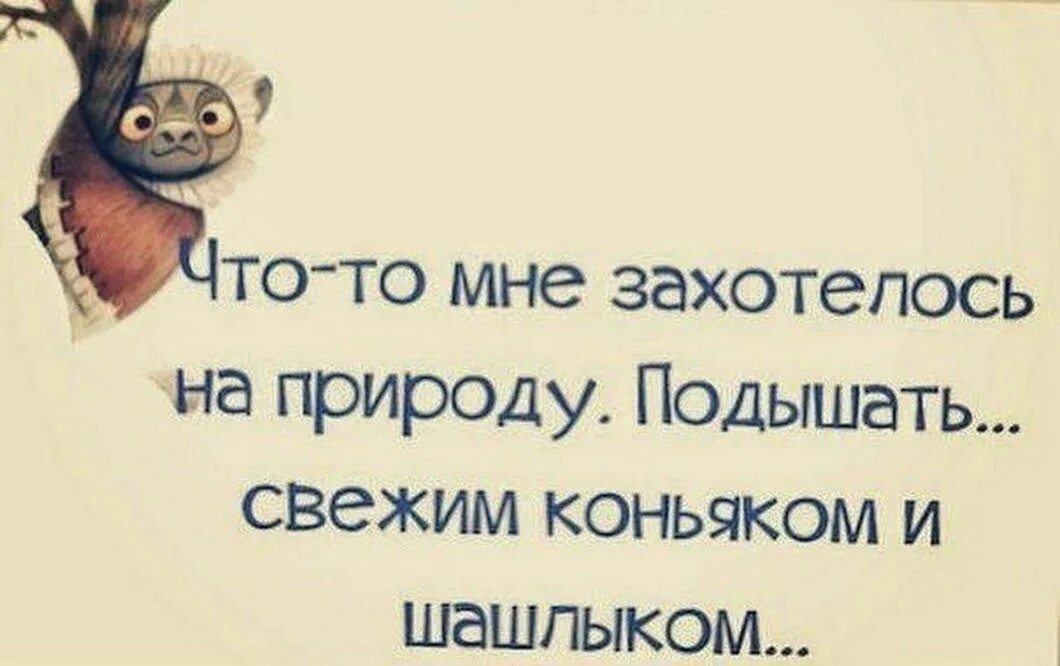 Цитаты пикника. Цитаты про отдых на природе. Цитаты про отдых на природе прикольные. Веселые цитаты. Смешные фразы про шашлык.