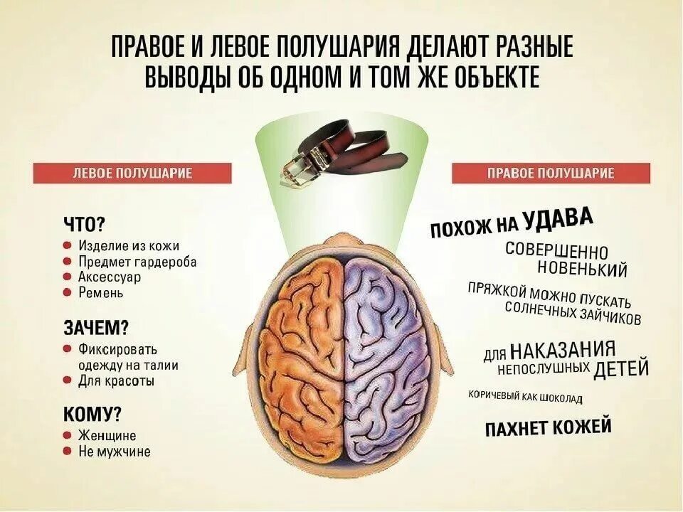 Za chto. Правое и левое полушарие мозга за что отвечают. Полушария мозга девое т правое. За что отвечает левое и правое полушарие головного мозга. За что отвечает левое полушарие.