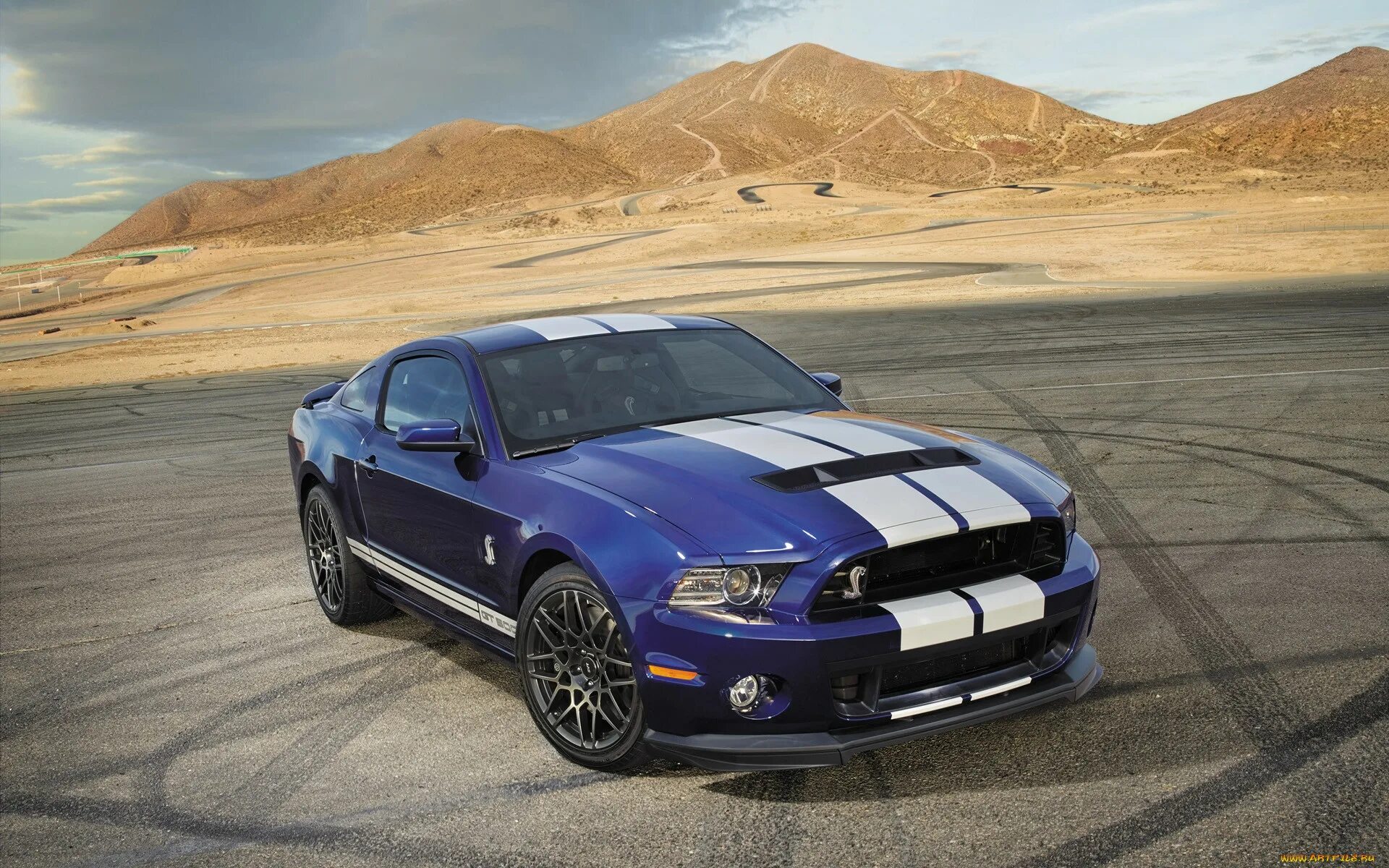 Форд Мустанг gt 500. Форд Шелби ГТ 500. Ford Shelby gt500. Ford Mustang gt. Mustang shelby gt