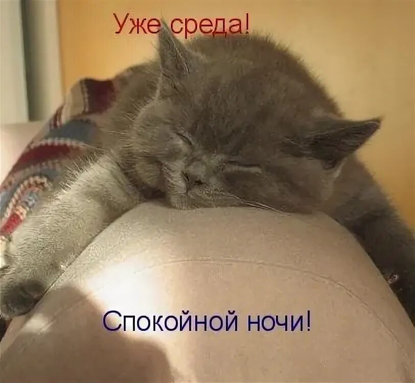 Я не хочу спать и не устаю
