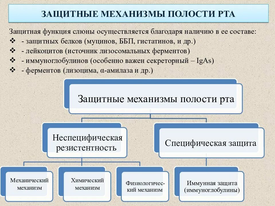 Благодаря наличию системы. Защитные механизмы слизистой оболочки полости рта. защитная роль системы гемостаза полости рта.. основные механизмы иммунной защиты слизистой полости рта. механизмы врожденного иммунитета полости рта.