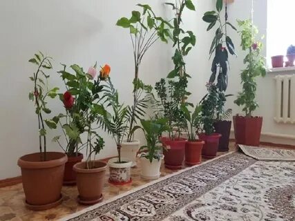 Сланцыдағы секспен танысу