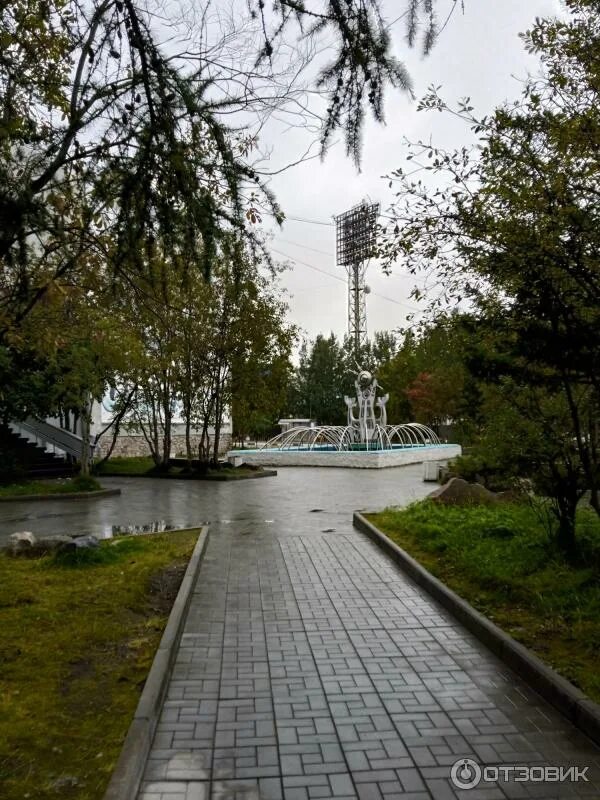 Оленегорск парк. Оленегорск сквер. Сквер молодежный Оленегорск. Деревья Оленегорска. Авито оленегорск область