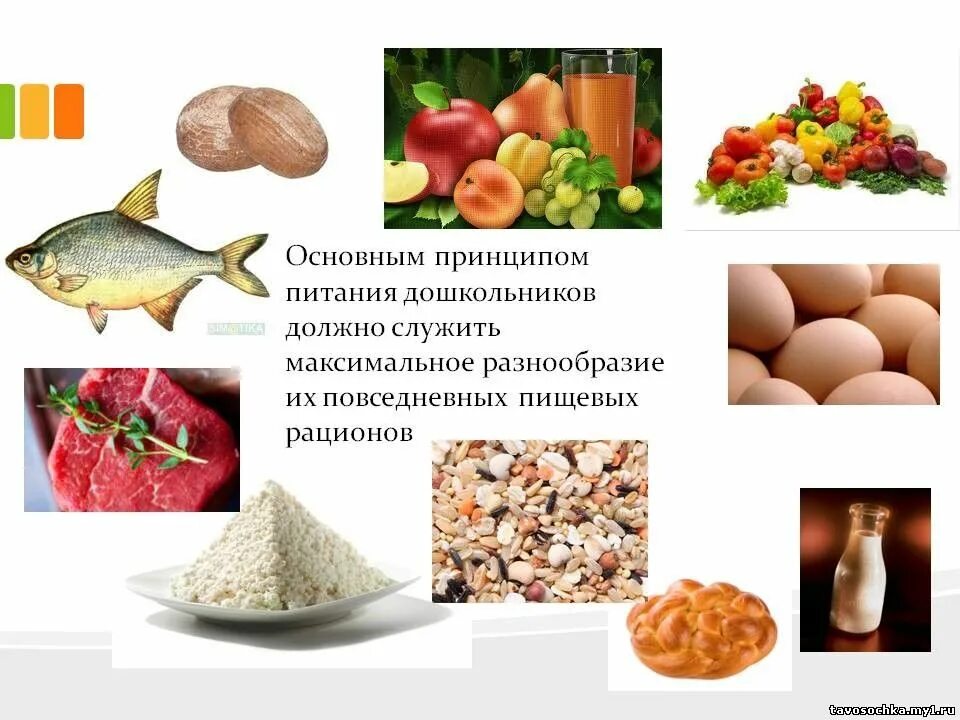 правильное питание для детей. основные принципы питания детей и подростков. рациональное питание детей. основы здорового питания для школьников. принципы питания дошкольника.