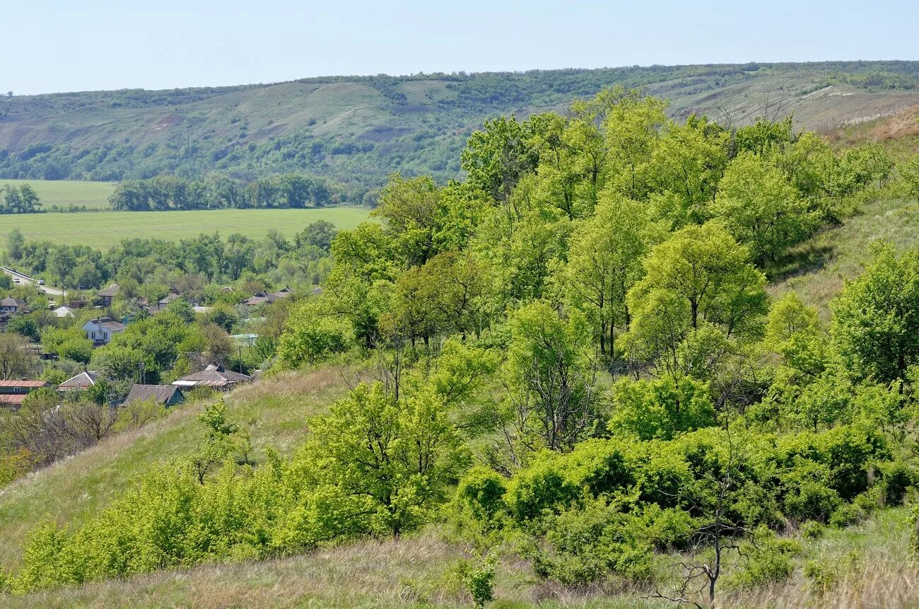 Крымское донецкая область. Хутор Ольховский Крымский район. Станица Раздорская Усть Донецкий район. Хутор Ольховский Ростовская область Усть Донецкий район. Крымский (Усть-Донецкий район).