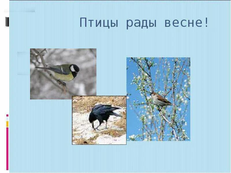 Презентация птицы весной для дошкольников. Жизнь птиц весной. Весенние изменения в жизни птиц. Птицы весной 2 класс. Птицы весной презентация