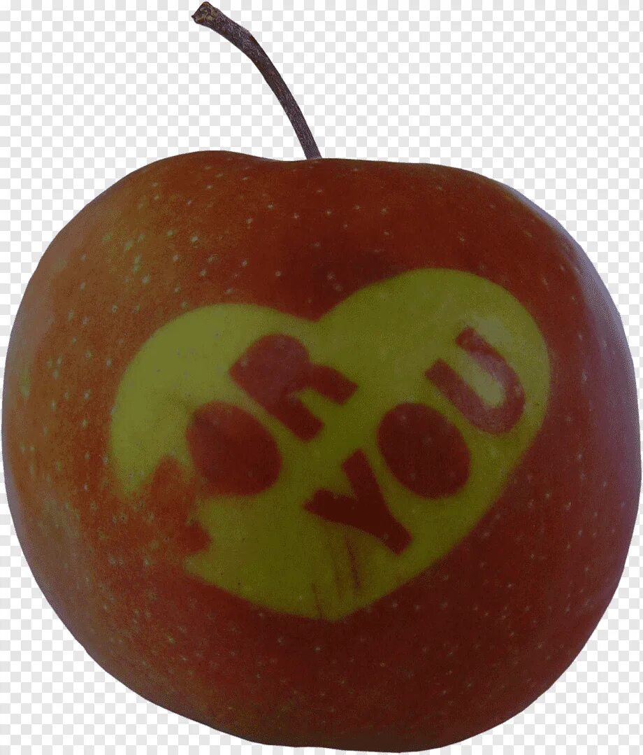 Яблоня любовь. Яблоко сердце. Яблоко с сердечком. Яблоко стикер. Яблочко стикер.