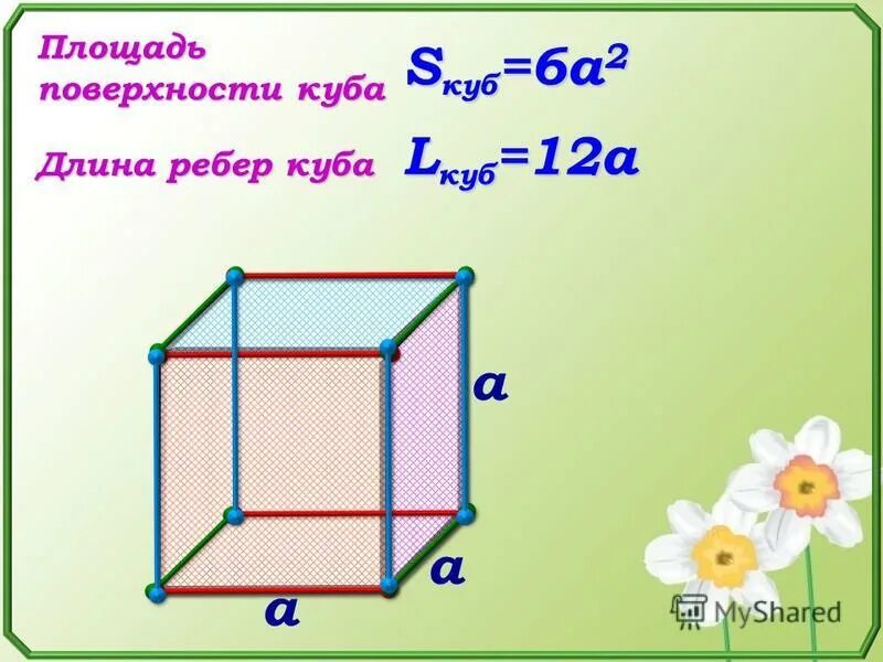 Найдите площадь поверхности куба с ребром 5