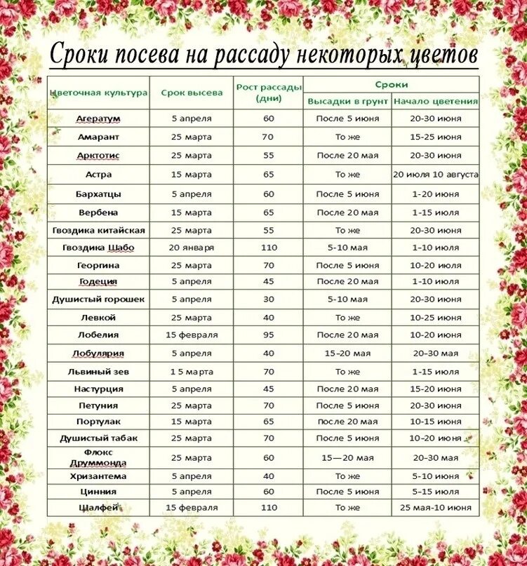 Какую рассаду можно посадить в апреле