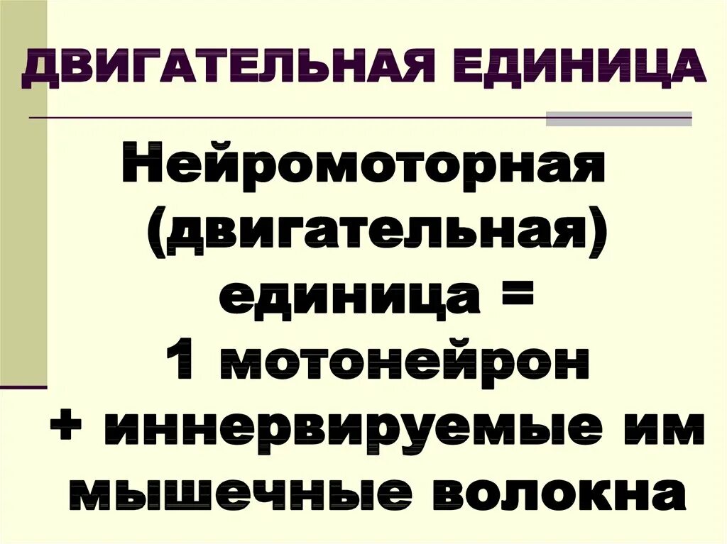Нейромоторная единица. Нейромоторная единица. Нейромоторная единица и двигательная единица. Тонические нейромоторные единицы. Фазные и тонические нейромоторные единицы.