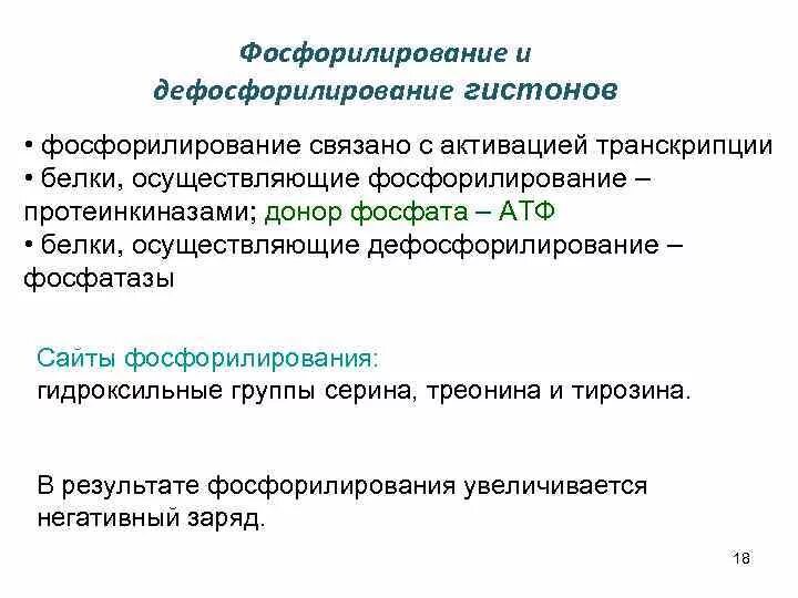 Предположите какая из представленных последовательностей принадлежит гистону. Фосфорилирование гистонов. Фосфорилирование и дефосфорилирование. Фосфорилирование – дефосфорилирование белки. Дефосфорилирование ферментов.