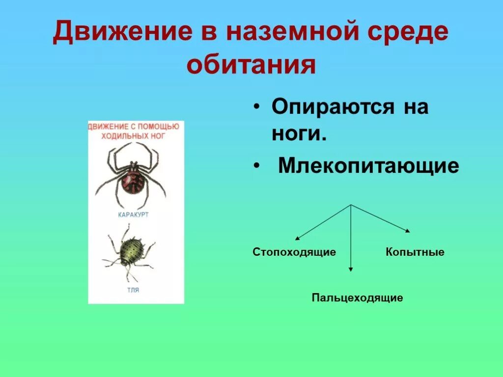 Движение среды. Движение животных в наземной среде. Передвижение в наземной среде. Движение по биологии 6 класс. Движение животных презентация по биологии 6 класс.