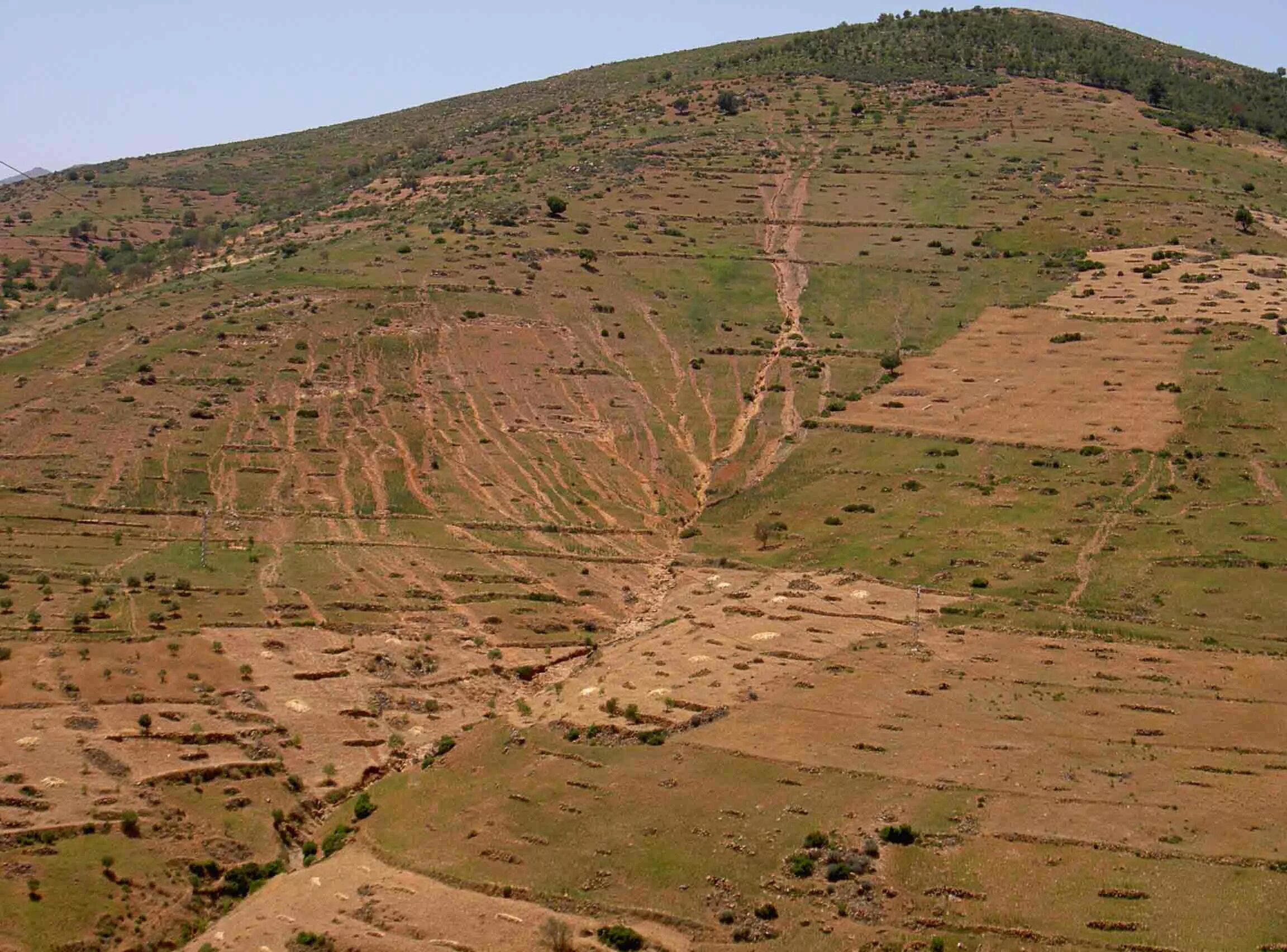 Dry area. Dry area. Dry area. Dry area. песчаная дорога.