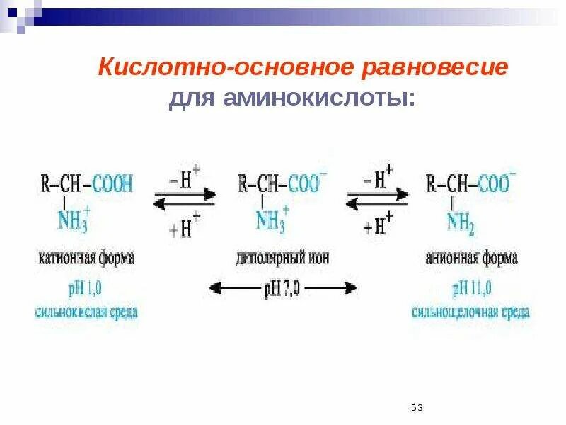 Кислотно основные аминокислоты