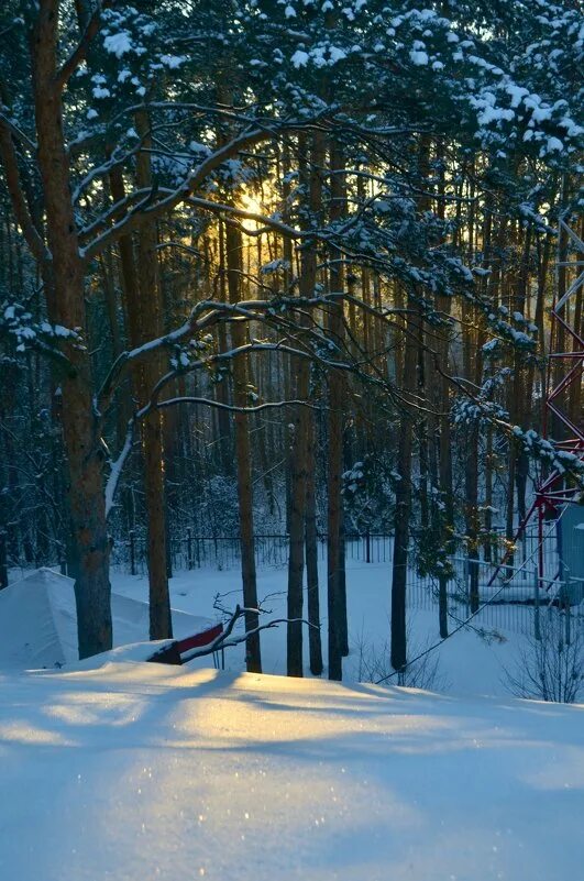 зимние мотивы фото. пионерский лагерь лесные дали московская область. лесные дали новый год. лесные дали пансионат удп рф. лесные дали новый год.
