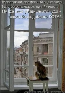 Песня днем и ночью жду у окна