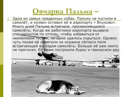 Два года ждала
