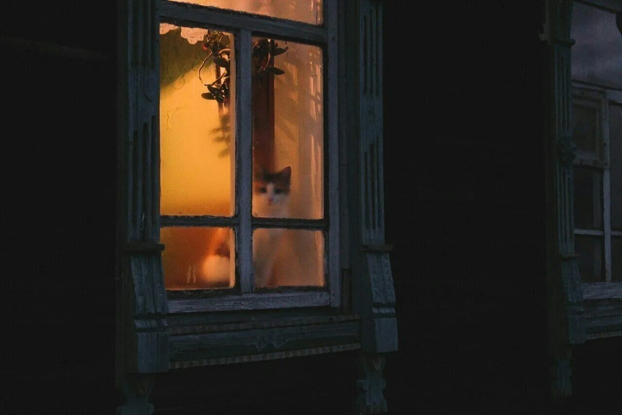 Город где ждут. Свет в окне. Вечерние окна домов. Ночные окна. Домик свет в окне.