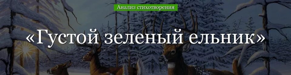 Бунин олень. Густой зелёный ельник у дороги Бунин. Стихотворение густой зеленый ельник у дороги. Густой зелёный ельник у дороги Бунин стихотворение анализ. Стихотворение бунина густой зеленый ельник