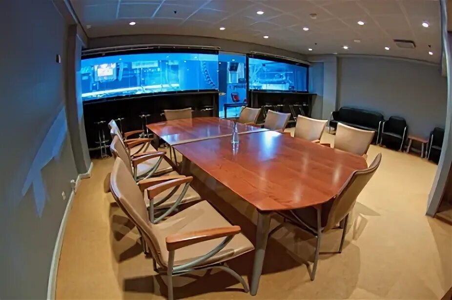 Ска арена вип ложи. Ледовый дворец санкт-петербург вип ложи. Вип ложа авангард. Вип ложа втб арена динамо. Вип ложа сапсан арена.