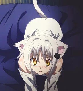 Конеко - фото и картинки: 61 штук.