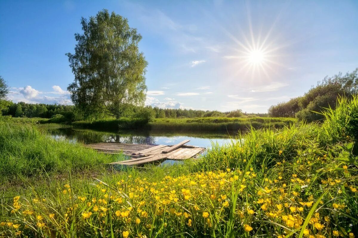 Время года лето солнечное. Лето природа. Летний пейзаж. Природа солнце. Река солнце.