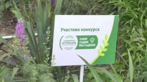 Сама садик я садила
