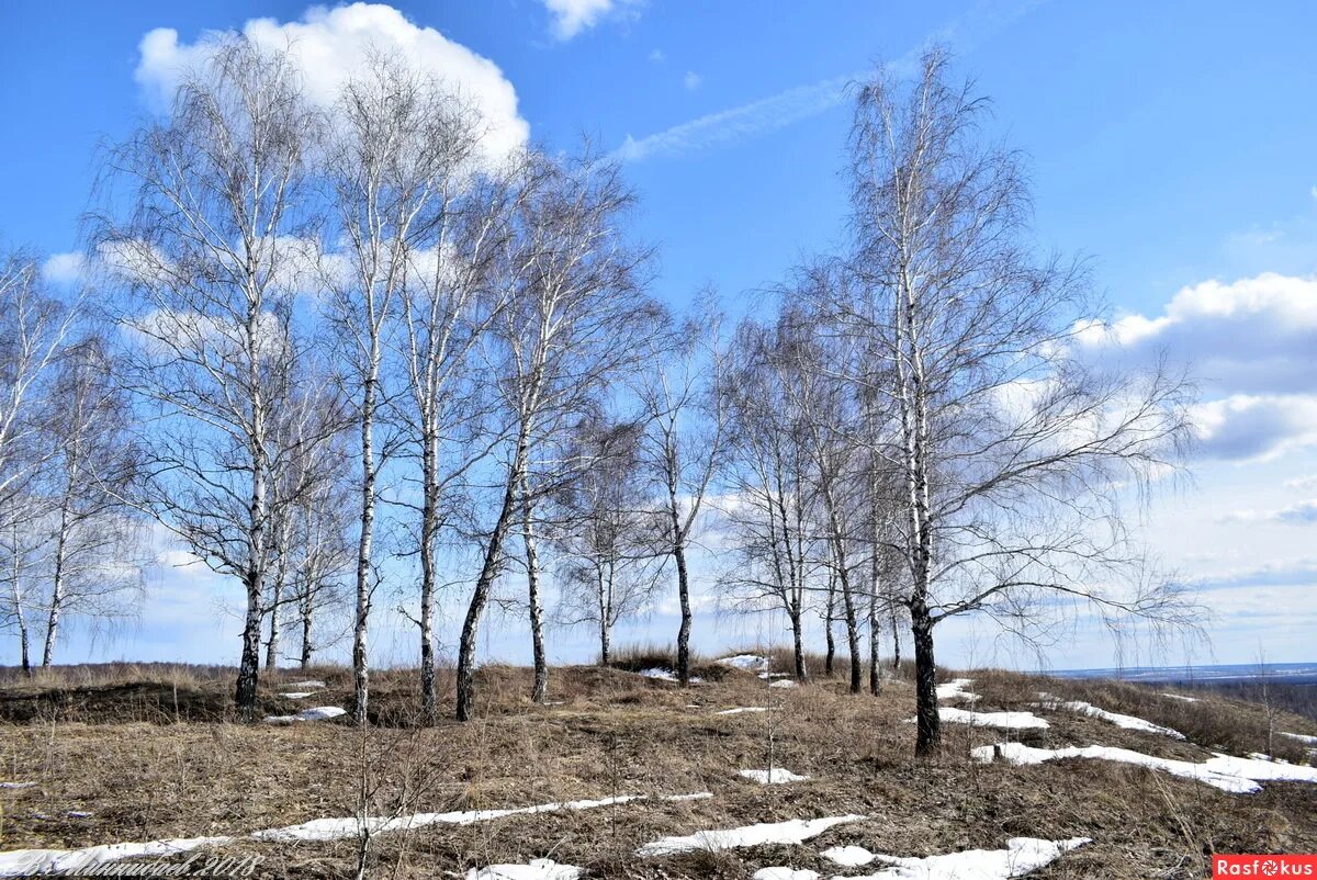 Весенний пейзаж апрель. Апрельский пейзаж. Апрель середина весны. Апрельская природа.