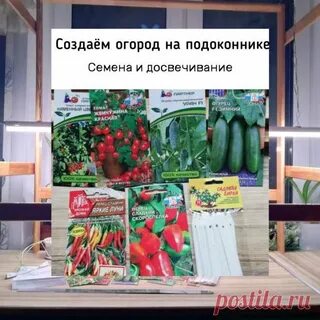 Семена овощей для подоконника