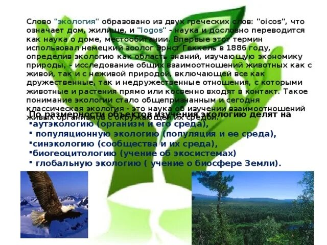 Значение слова экология. Текст про экологию. Текст по экологии. Экология слова. Слова на окружающую среду.