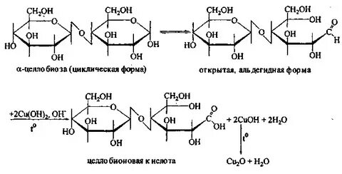 Характерные для глюкозы в отличие от сахарозы
