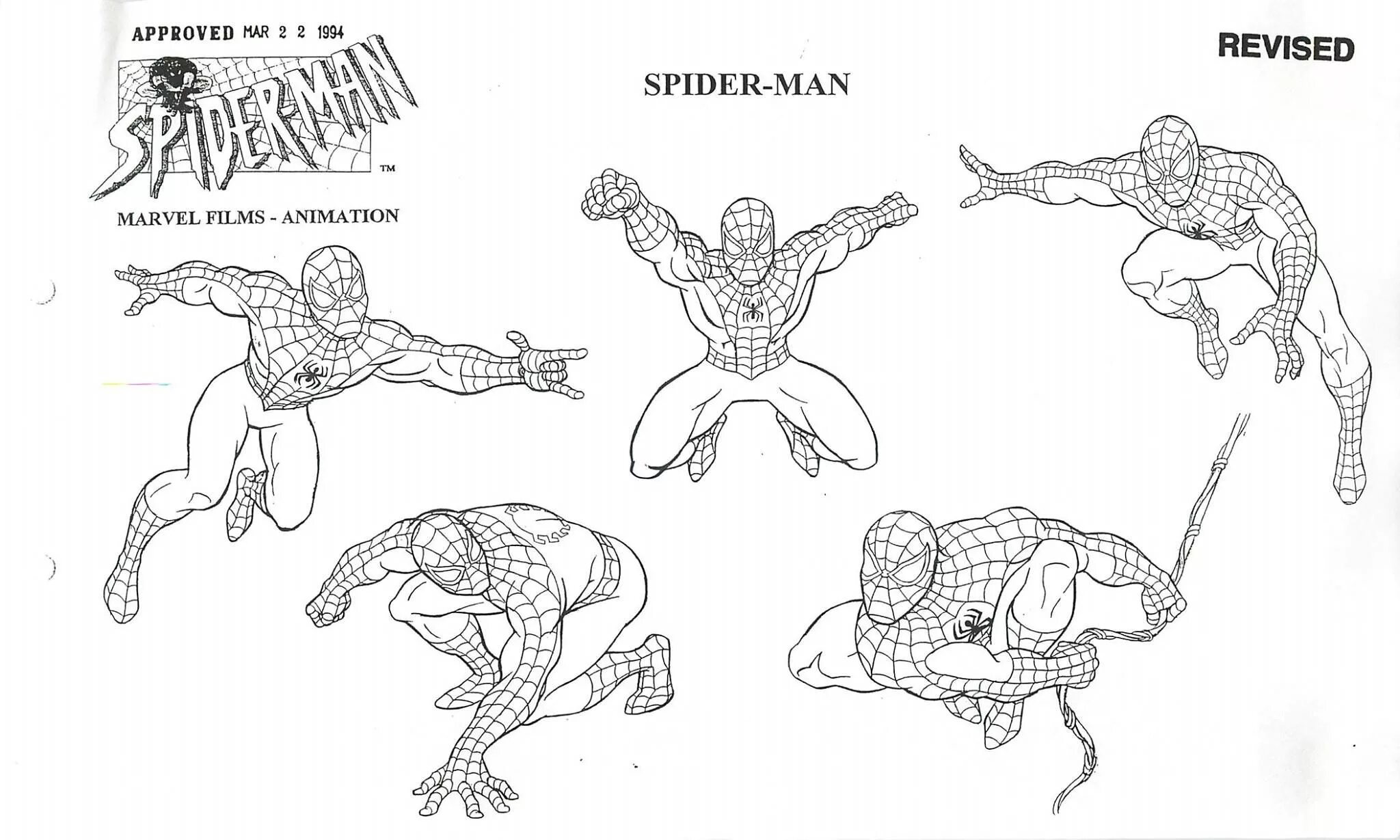 Человек паук какая последовательность. Человек паук 1994 концепты. Человек паук рисунок. Человек паук 1994 рисунки. Человек паук model Sheet.
