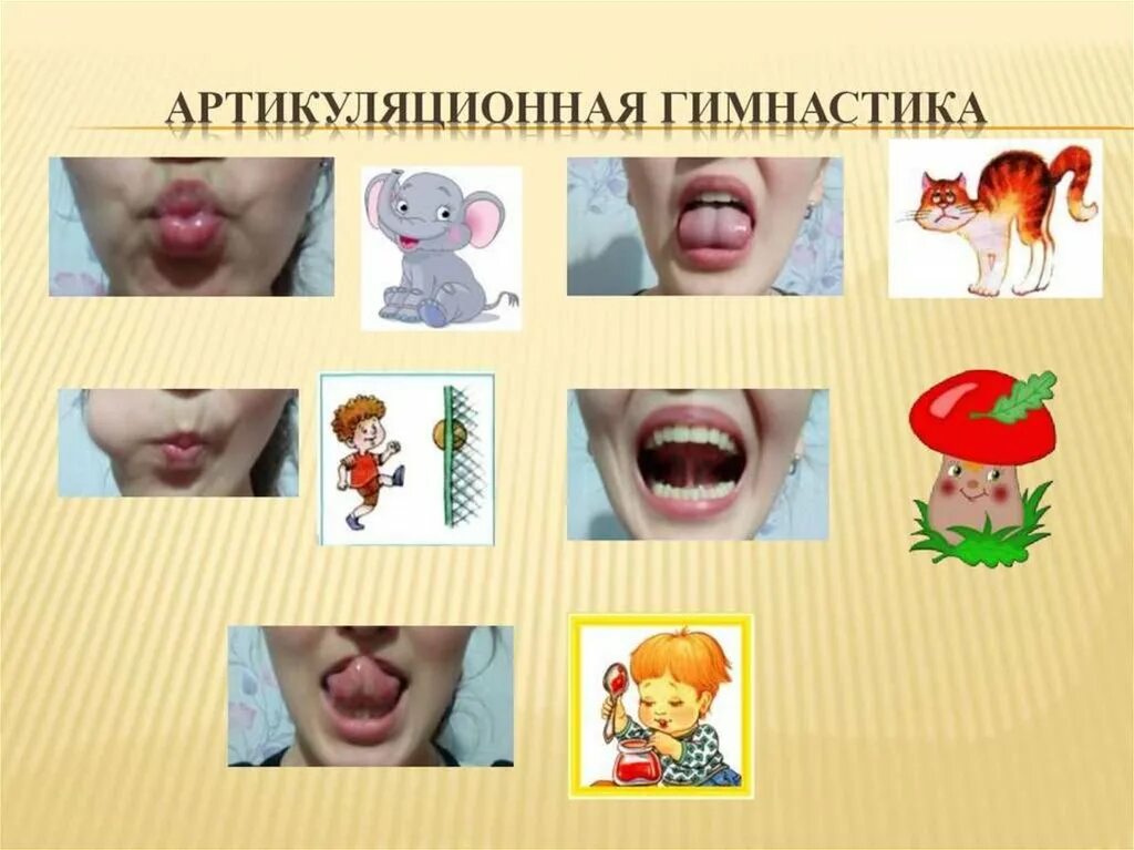 Звукопроизношение артикуляция