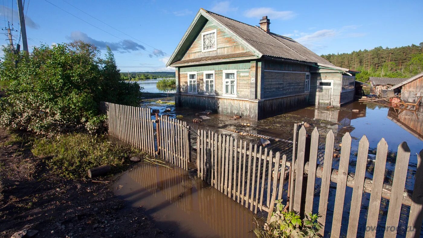 Горячего новгородская область. Торбино Новгородская область. Деревня Торбино Новгородской области. Торбино Окуловский район. Деревня Старая Болотница. Новгородская область Крестецкий район.