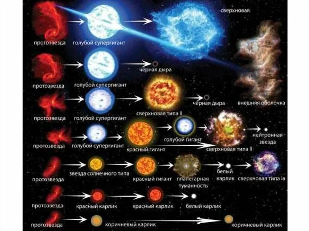 Виды звезд. Этапы эволюции звезд протозвезда. Жизненный цикл сверхновой звезды. Эволюция звезд сверхновые звезды. Сверхновая стадия эволюции солнца.