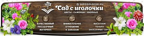 Сад с иголочки