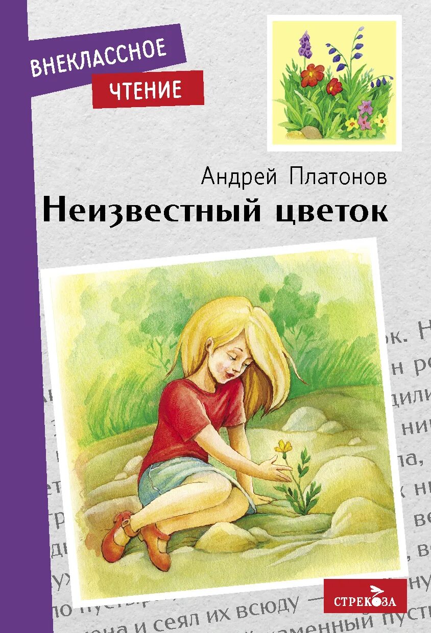 Платонов а. "неизвестный цветок". Неизвестный цветок Платоно.