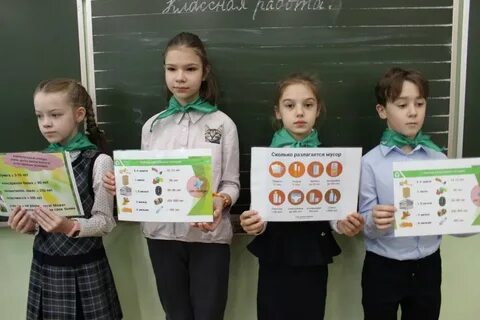 Экологические итоги года
