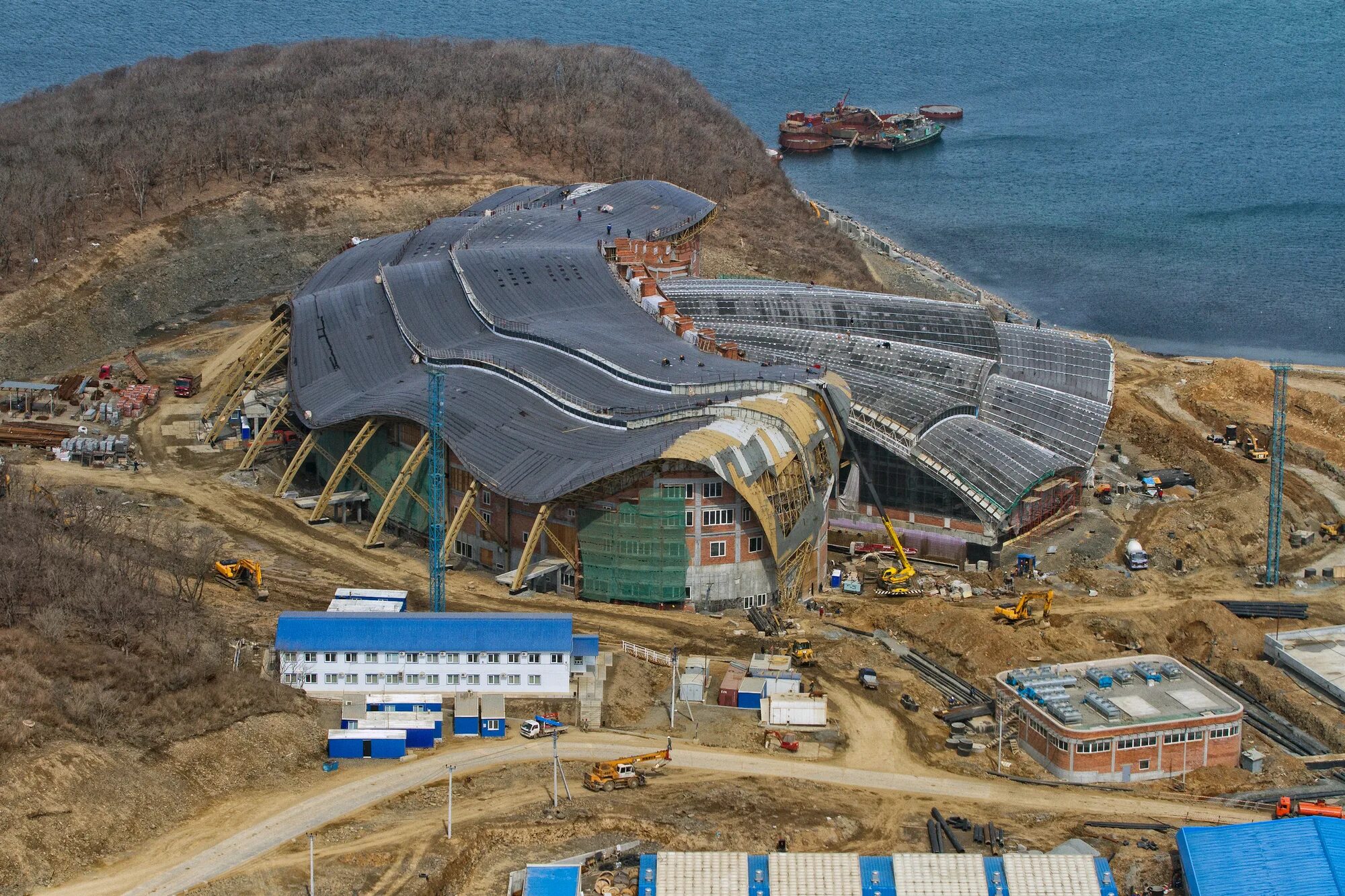 Приморский океанариум фото. Океанариум Владивосток остров русский. Приморский океанариум Владивосток стройка. Владивостокский дельфинарий на острове русском.