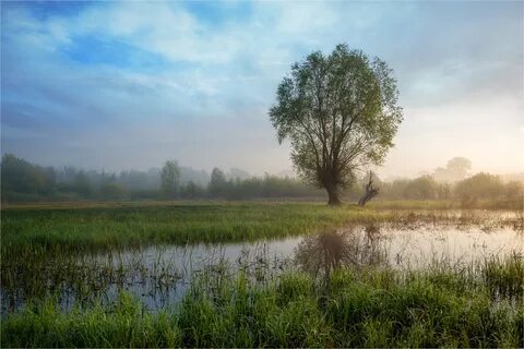 Хмурое утро