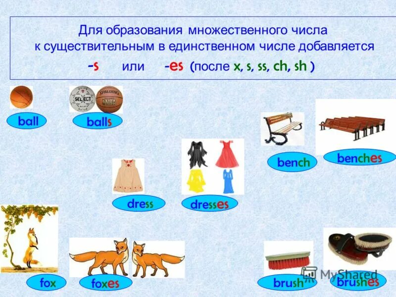 Человек имеет форму множественного числа. Существительные во множественном числе в английском языке для детей. Множественное число существительных в английском языке для малышей. Существительные единственного и множественного числа. Образование множественного числа существительных.