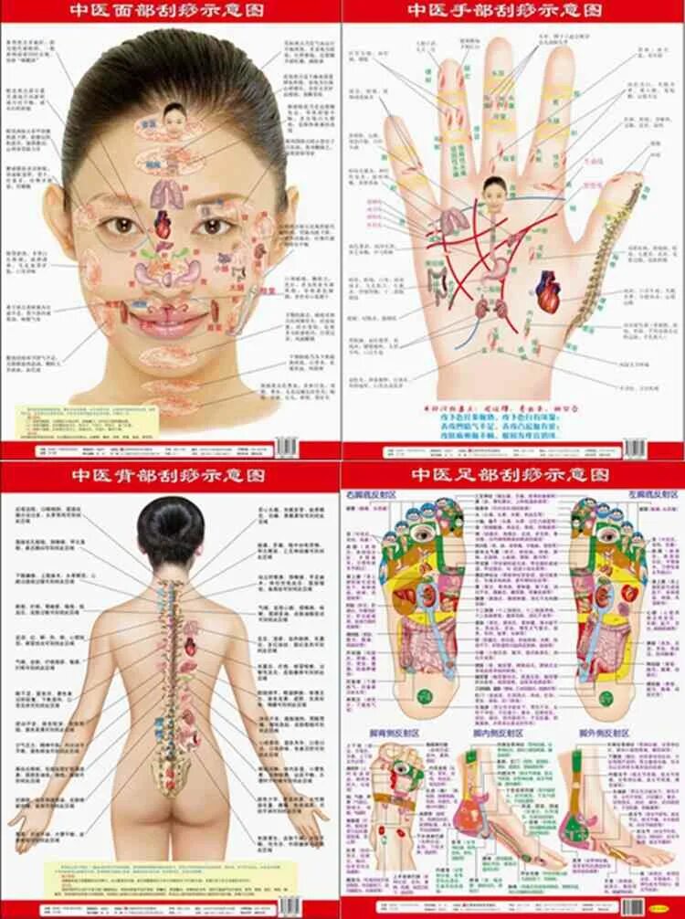 Названия точек человека. Акупунктура меридианы китайская медицина. Точечный массаж акупунктура. Иглоукалывание и точечный массаж. Точки на теле для массажа.