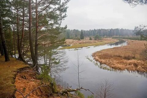 Вилия парк беларусь