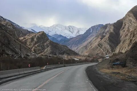 Авиабилеты северная осетия