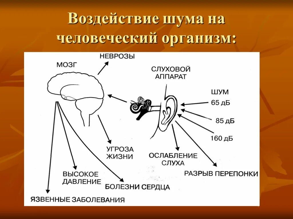 Влияние звуков и шумов на организм. Схема. Влияние шума на организм человека. Воздействие шума на организм. Влияние шума на человека. Вредное влияние шума на организм человека.