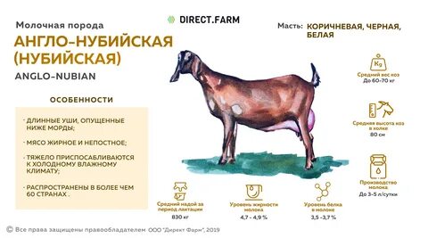 Удой козы в сутки