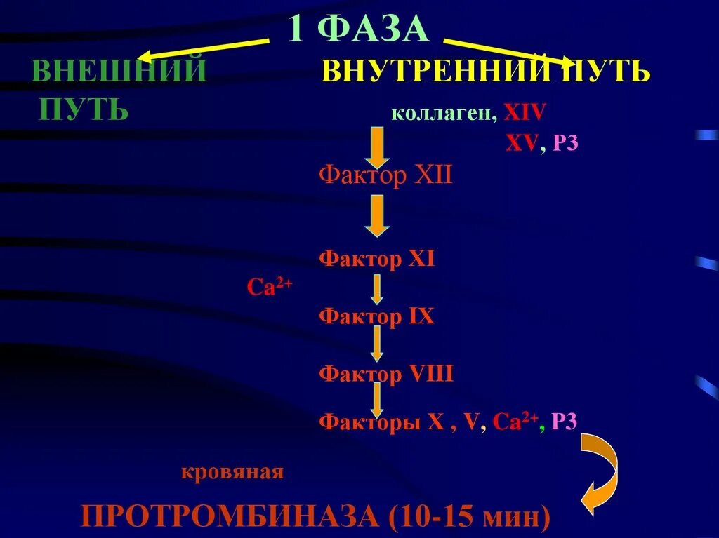 Х 8 компания. Фактор 8. Коагуляционный фактор 8 g/t. 5 И 6 фактор на протромбиназу.