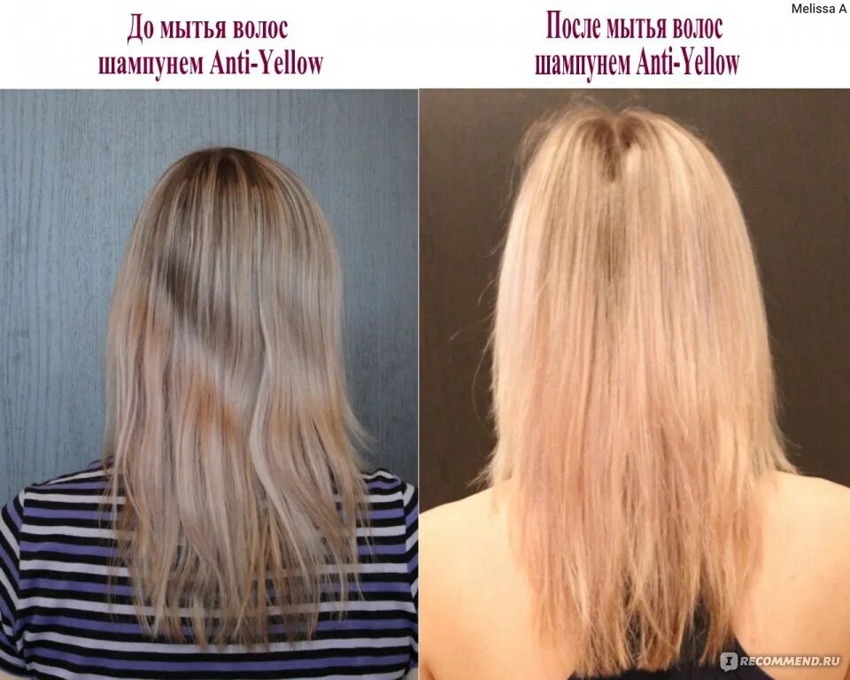 Оттеночный шампунь до и после. Тонирующий шампунь для волос до после. Волосы после шампуня. Волосы после оттеночного шампуня.